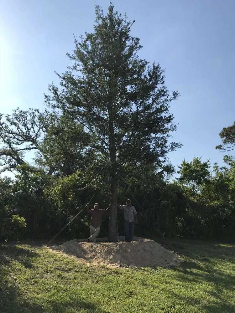 Reliable yard cleanup service in New Smyrna Beach, FL by Lopez Landscaping Total Outdoors, LLC