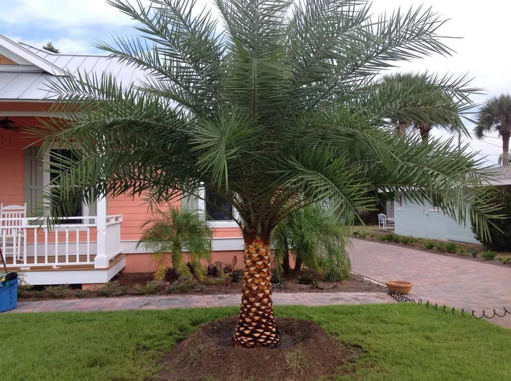 Professional landscape design in New Smyrna Beach, FL by Lopez Landscaping Total Outdoors, LLC