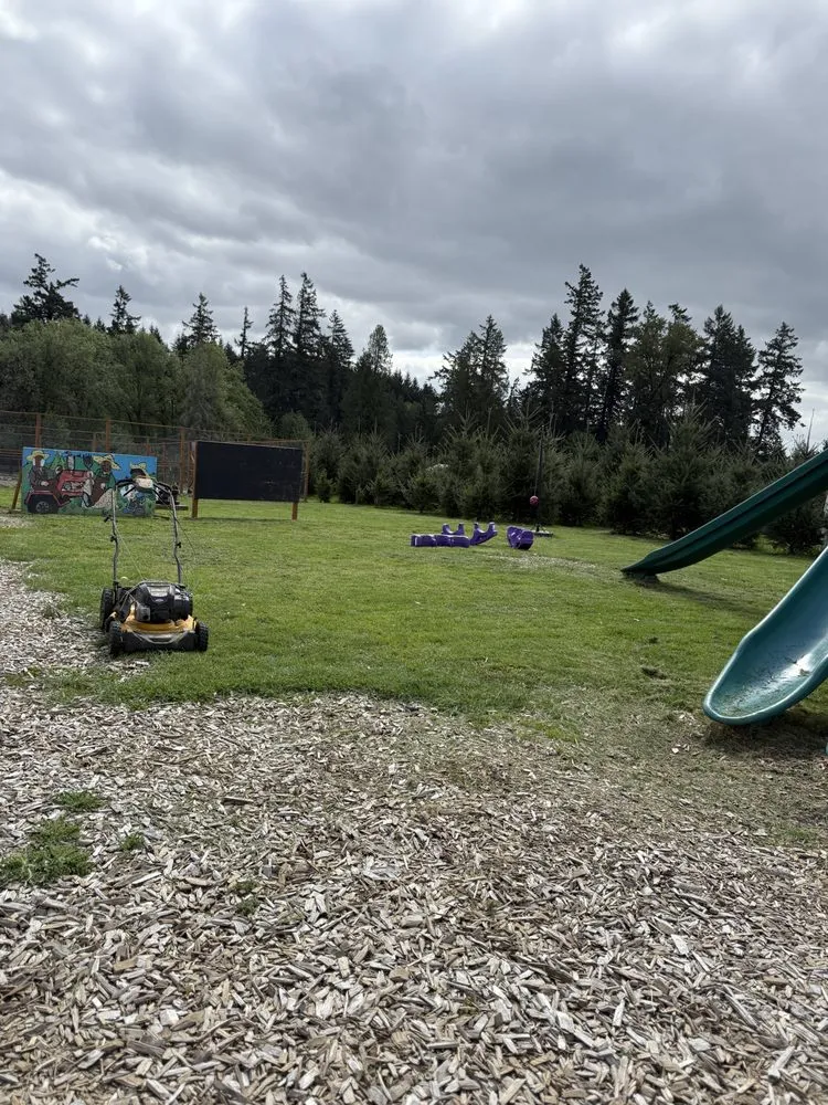 Custom yard cleanup service in Tualatin, OR - Lopez Landscaping