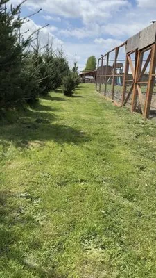 Lopez Landscaping Logo