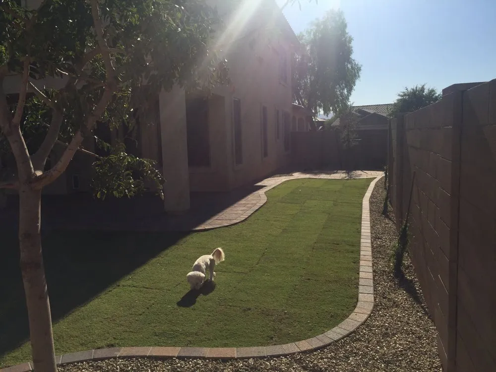 Trusted landscaping services for outdoor upgrades in Wittmann, AZ by Lopez Landscaping
