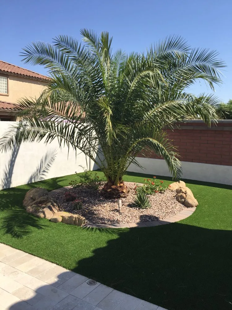 Reliable garden landscaping for year-round maintenance in Wittmann, AZ by Lopez Landscaping