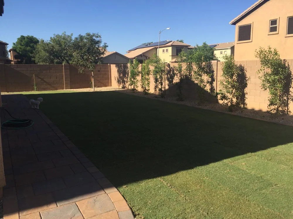 Custom lawn care service in Wittmann, AZ - Lopez Landscaping