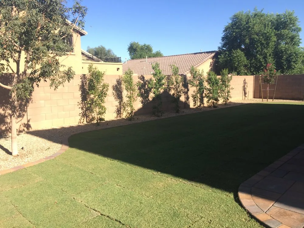 Custom lawn care service experts serving Wittmann, AZ - Lopez Landscaping