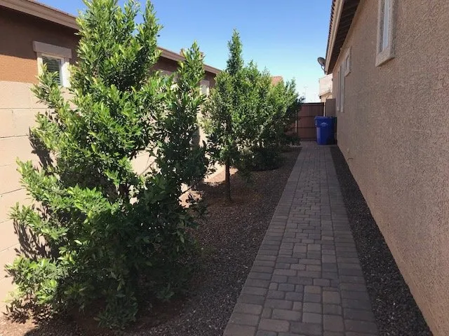 Professional landscape design experts serving Wittmann, AZ - Lopez Landscaping