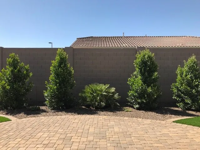 Top-rated residential landscaping for year-round maintenance in Wittmann, AZ by Lopez Landscaping