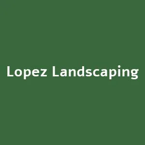 Expert yard maintenance for year-round maintenance in Woodbridge, VA by Lopez Landscaping