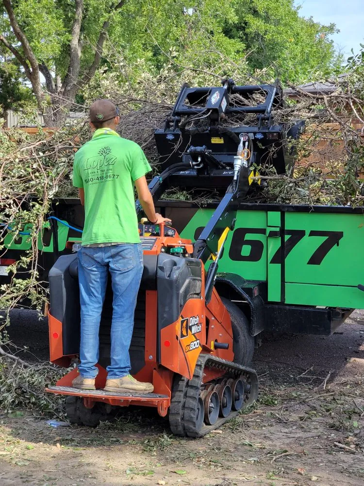 Custom yard maintenance in Frederick, OK - Lopez Lawn and Tree Care