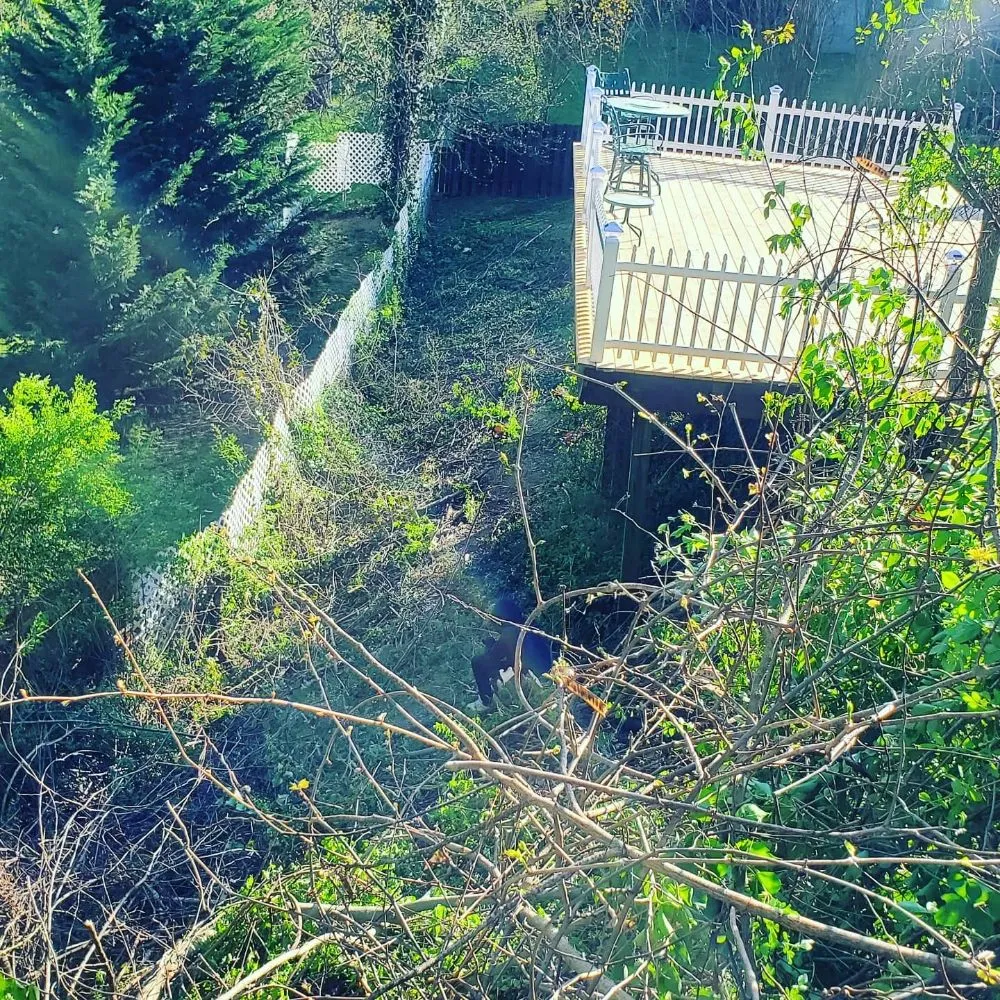 Reliable lawn mowing service in Chattanooga, TN - Lopez Lawn Care And Irrigation Services