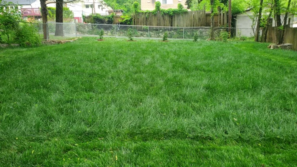 Local landscape design experts serving Chattanooga, TN - Lopez Lawn Care And Irrigation Services