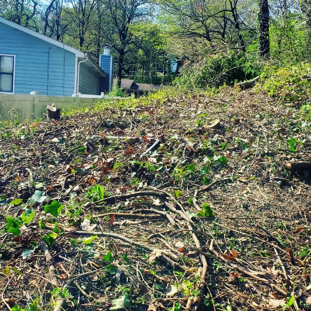 Trusted yard cleanup service experts serving Chattanooga, TN - Lopez Lawn Care And Irrigation Services