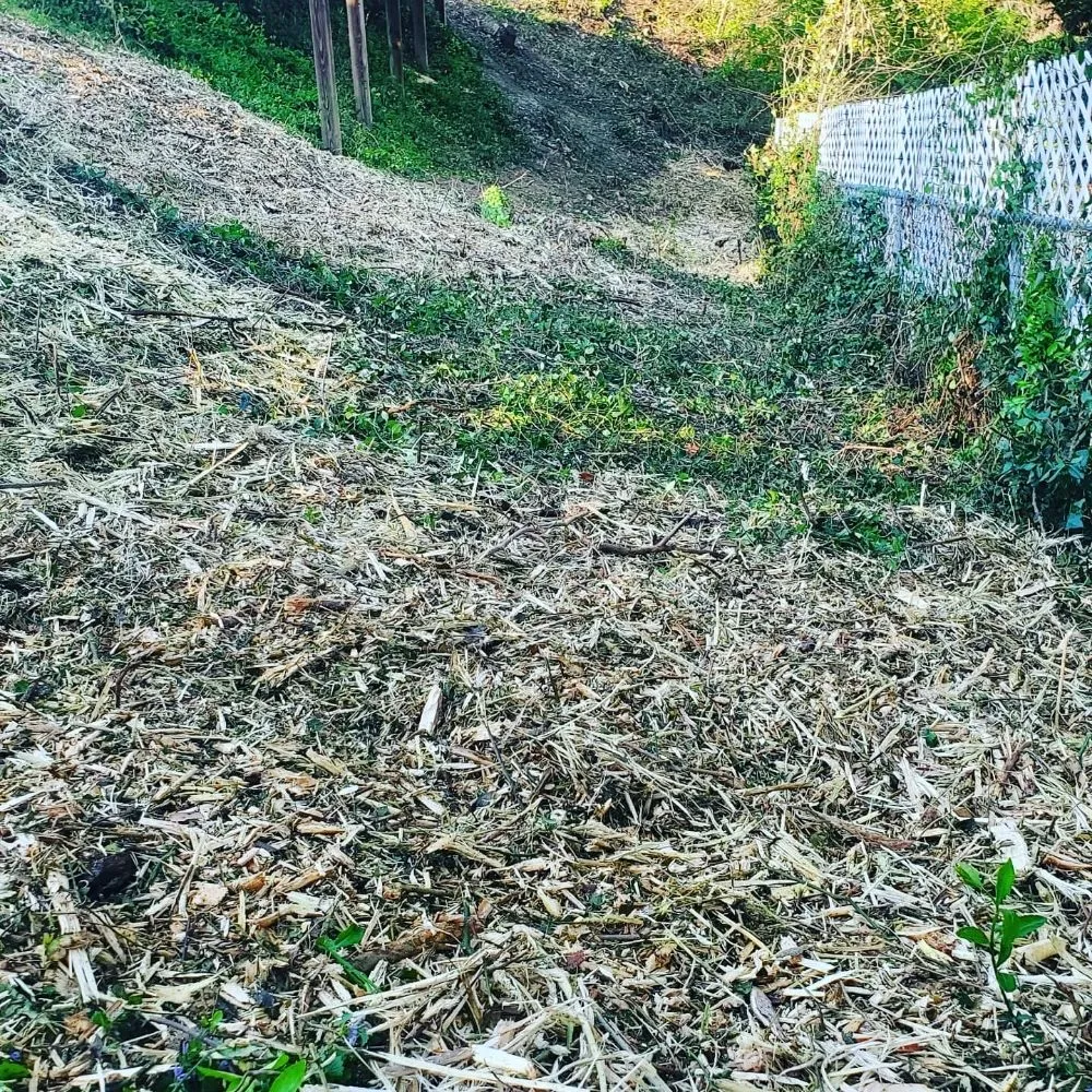 Trusted residential landscaping near you across Chattanooga, TN - Lopez Lawn Care And Irrigation Services