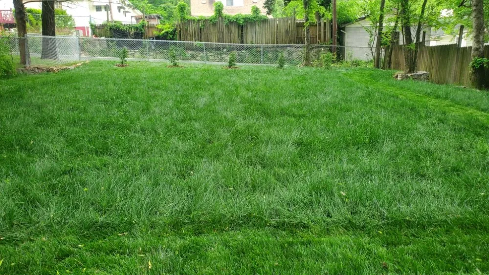 Expert lawn mowing service for residential properties across Chattanooga, TN - Lopez Lawn Care And Irrigation Services