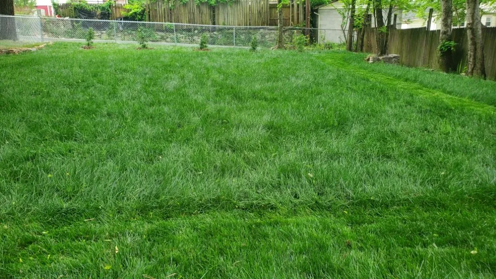 Local outdoor landscaping with custom design in Chattanooga, TN by Lopez Lawn Care And Irrigation Services