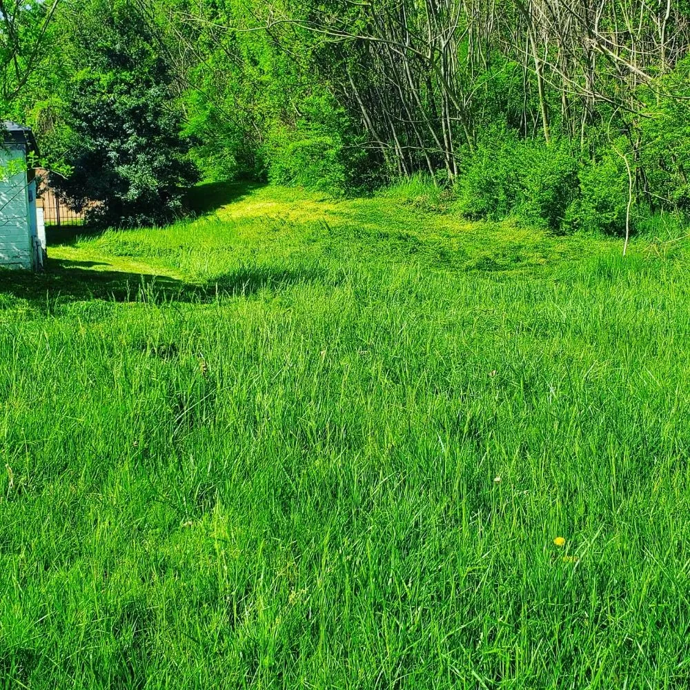 Professional landscape installation in Chattanooga, TN - Lopez Lawn Care And Irrigation Services