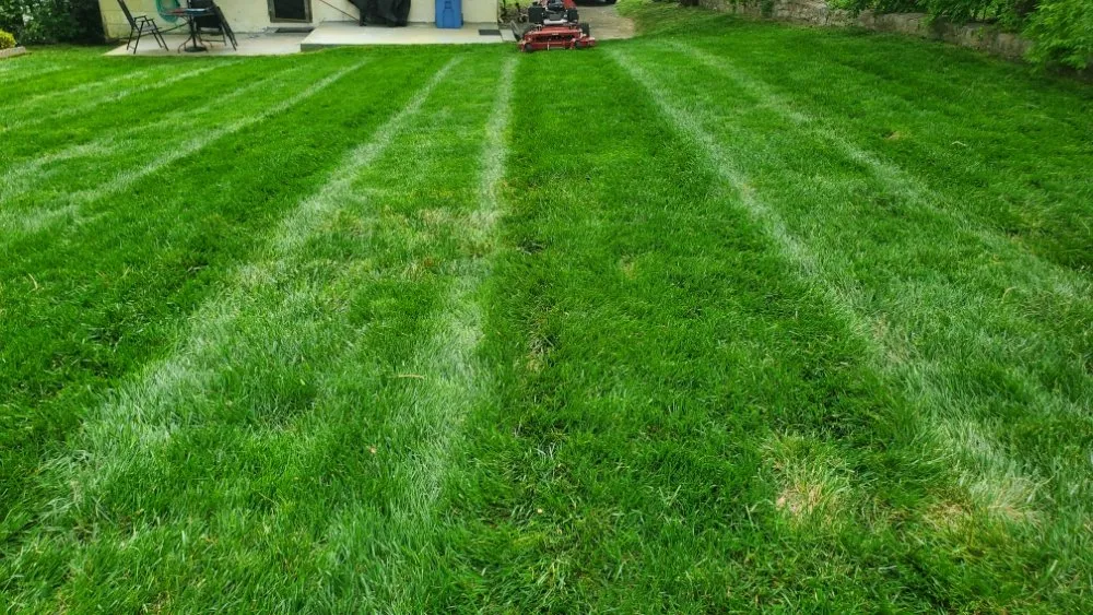 Affordable yard maintenance experts serving Chattanooga, TN - Lopez Lawn Care And Irrigation Services