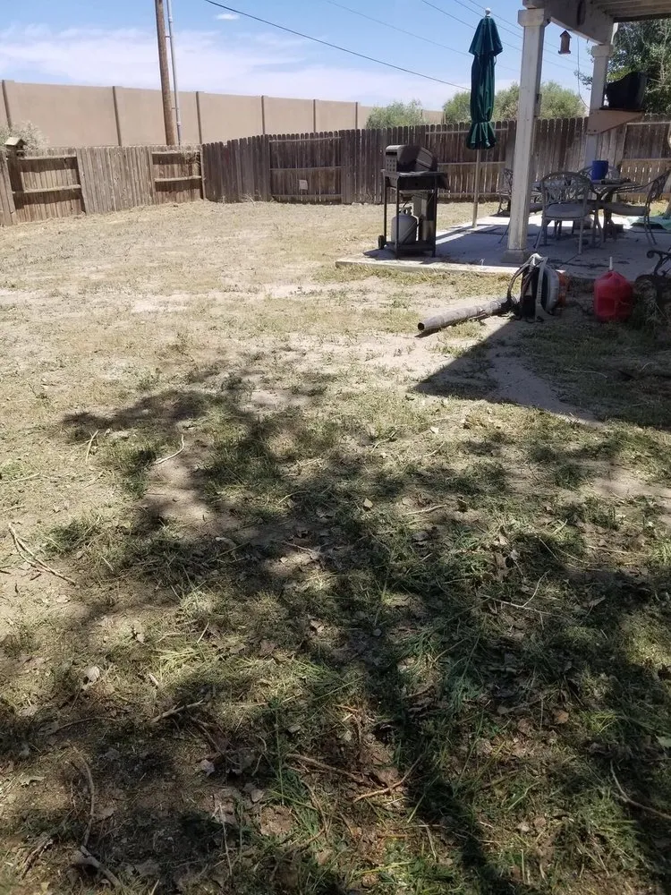 Trusted lawn mowing service experts serving Fernley, NV - Lopez Lawn Care