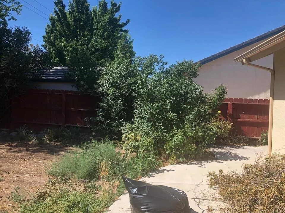 Top-rated lawn mowing service in Fernley, NV - Lopez Lawn Care