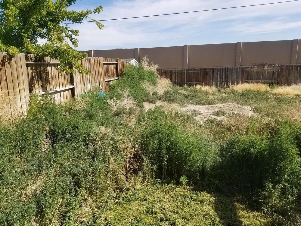 Expert landscape installation in Fernley, NV - Lopez Lawn Care