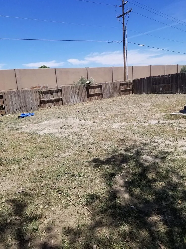 Reliable yard cleanup service in Fernley, NV - Lopez Lawn Care