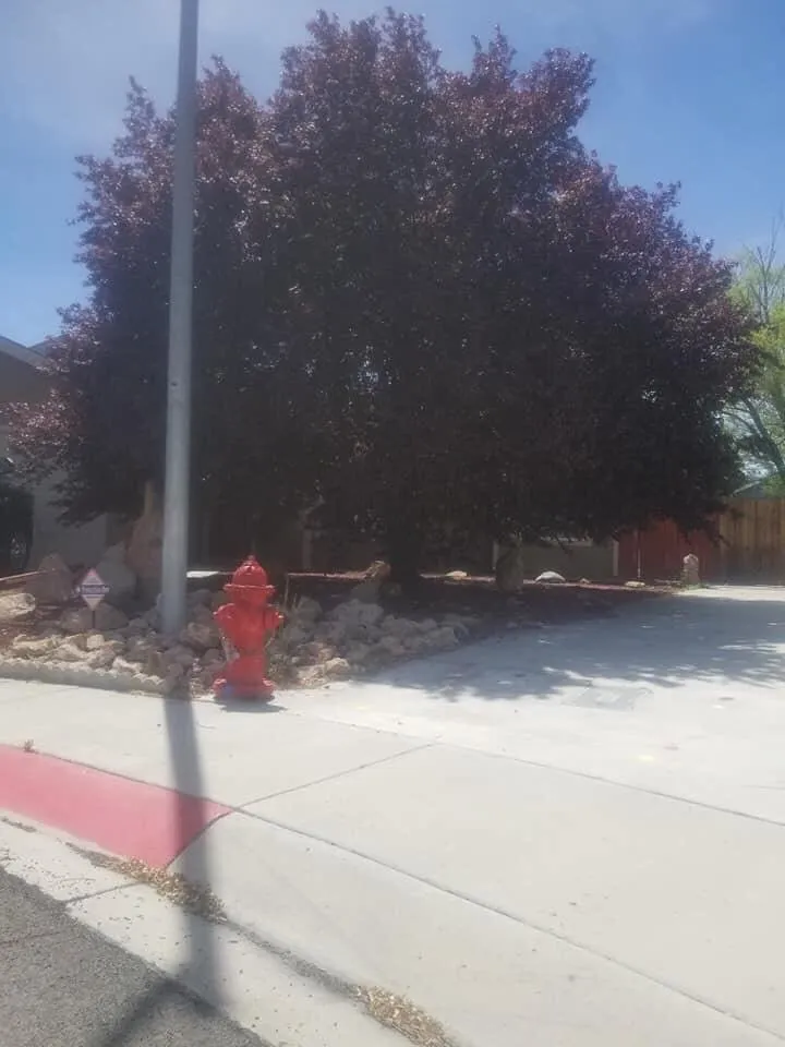 Reliable yard maintenance experts serving Fernley, NV - Lopez Lawn Care