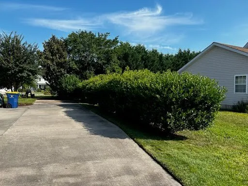 Local yard cleanup service in Laurel, DE - Lopez Lawn Care Landscaping