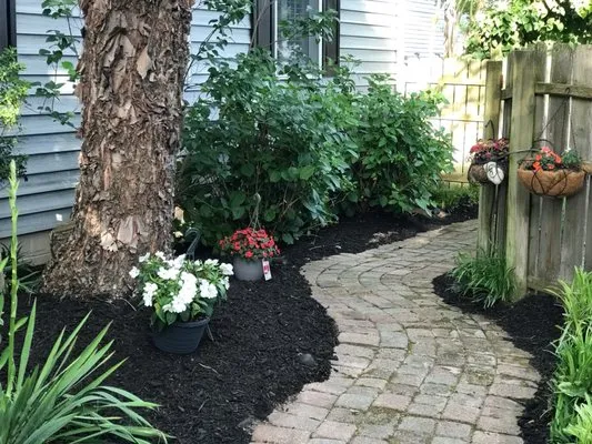 Lopez Lawn Care Landscaping