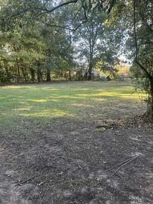 Lopez lawn Care Logo