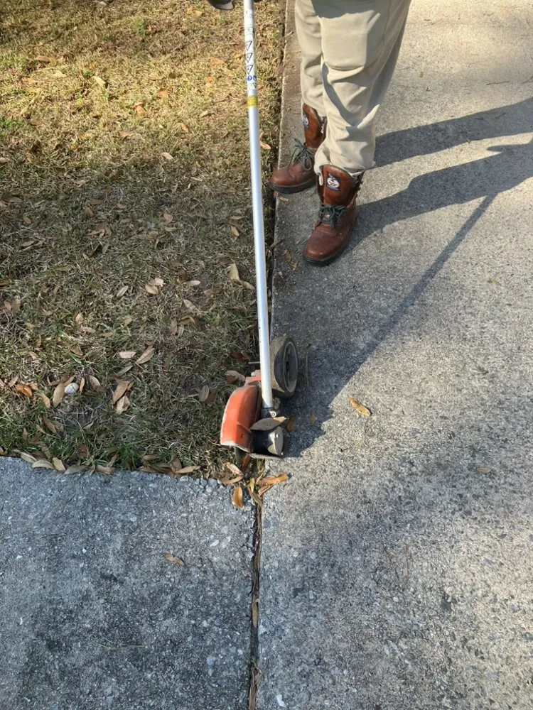 Local yard cleanup service for year-round maintenance across Savannah, GA - Lopez Lawn Care