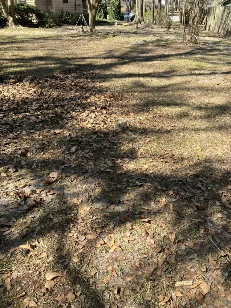 Expert garden landscaping in Savannah, GA by Lopez Lawn Care