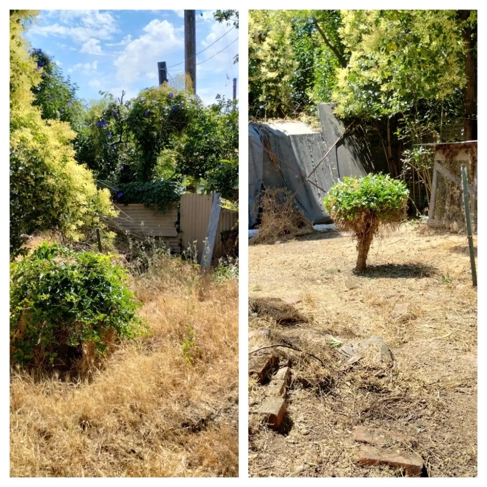 Professional outdoor landscaping in Stockton, CA - Lopez Lawn Care Service