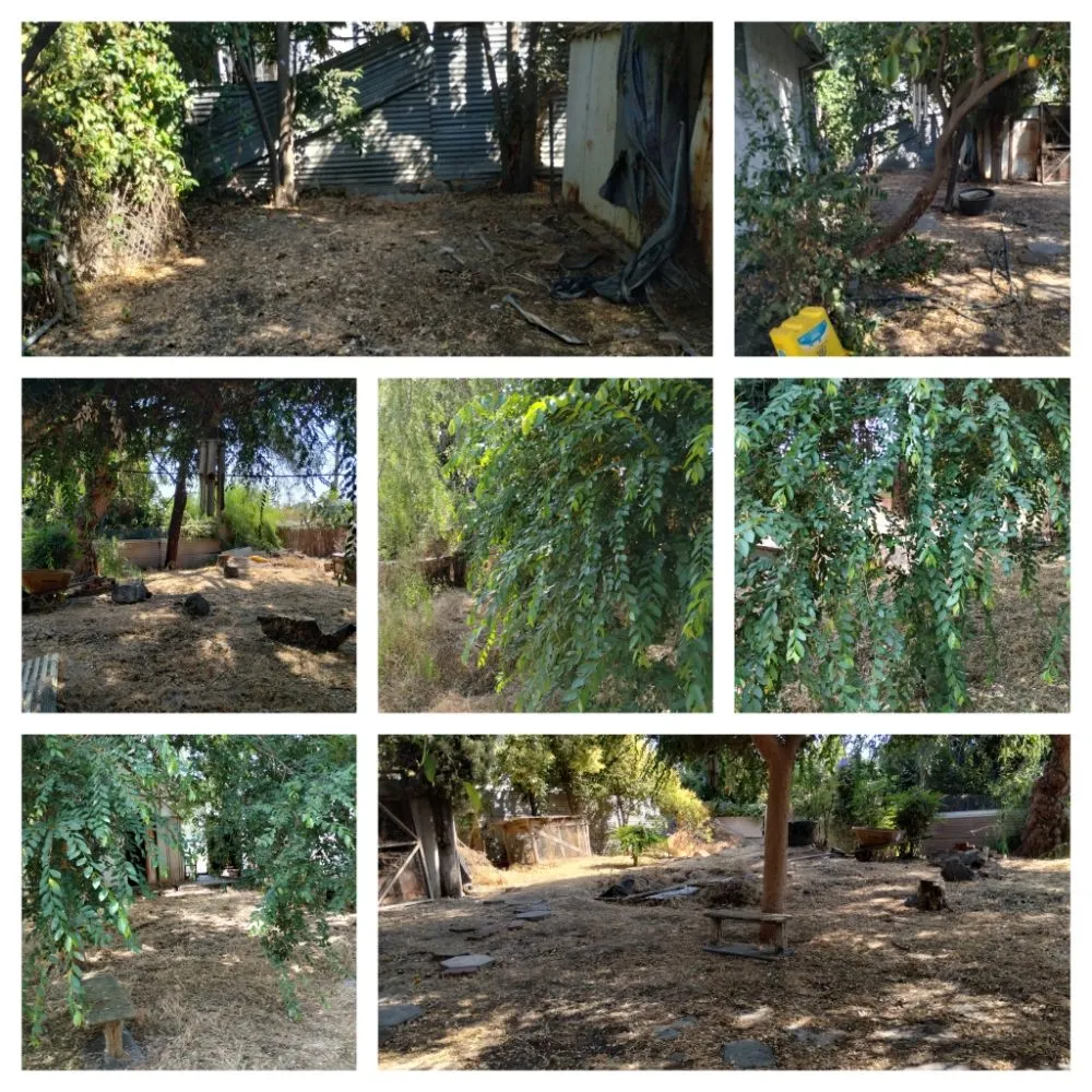 Custom outdoor landscaping with custom design in Stockton, CA by Lopez Lawn Care Service