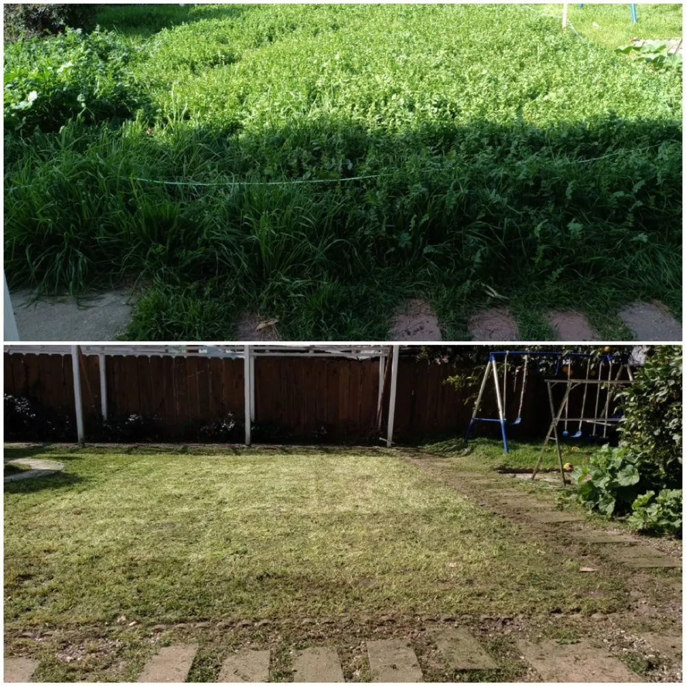 Professional lawn care service with custom design in Stockton, CA by Lopez Lawn Care Service