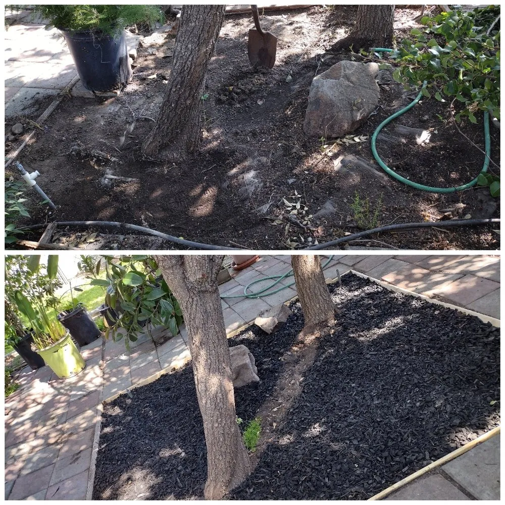 Top-rated lawn mowing service for beautiful yards across Stockton, CA - Lopez Lawn Care Service