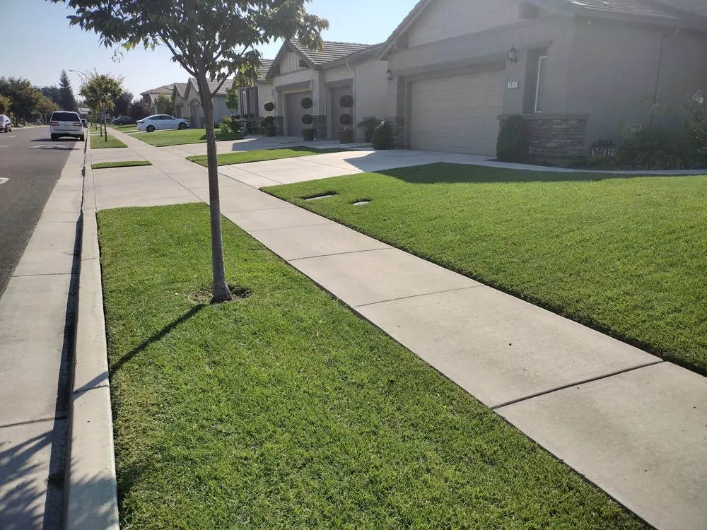 Top-rated outdoor landscaping for residential properties in Stockton, CA by Lopez Lawn Care Service