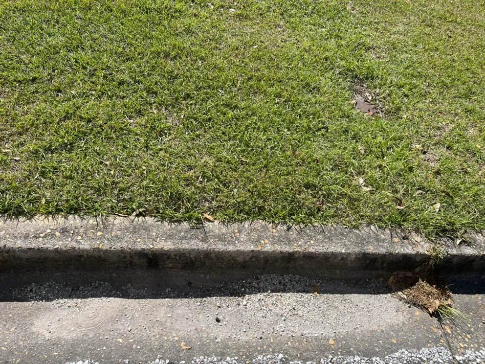 Trusted residential landscaping experts serving Enterprise, AL - Lopez lawn care service’s