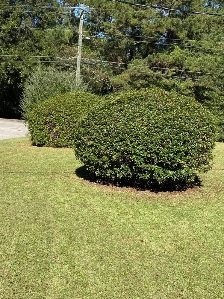 Expert landscape installation in Enterprise, AL by Lopez lawn care service’s