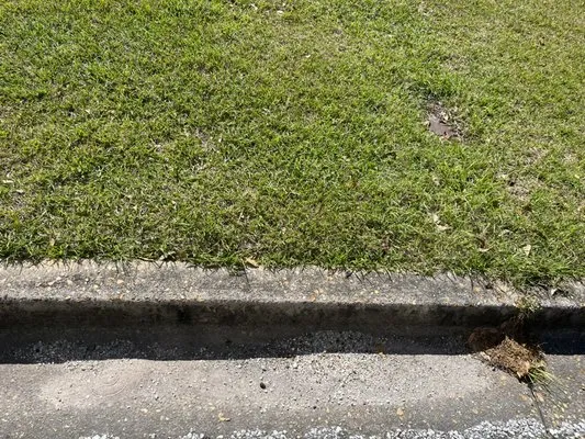 Lopez lawn care service’s Logo