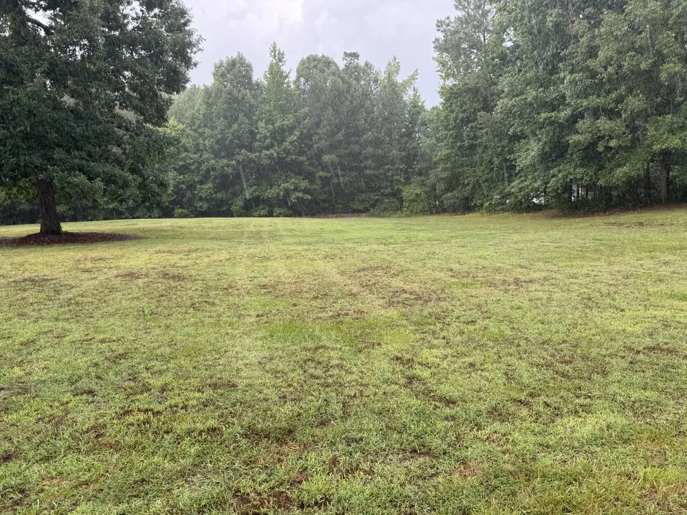 Expert yard cleanup service with custom design in Henderson, NC by Lopez Lawn Care Services