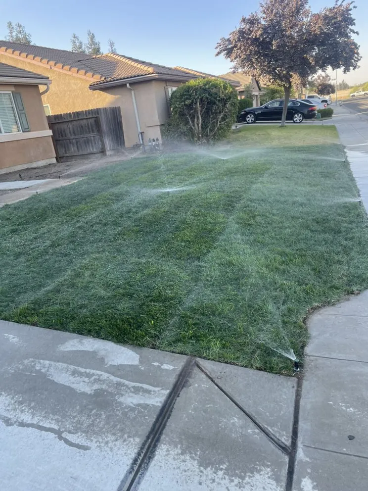 Reliable yard cleanup service in Fresno, CA - Lopez Lawn Service