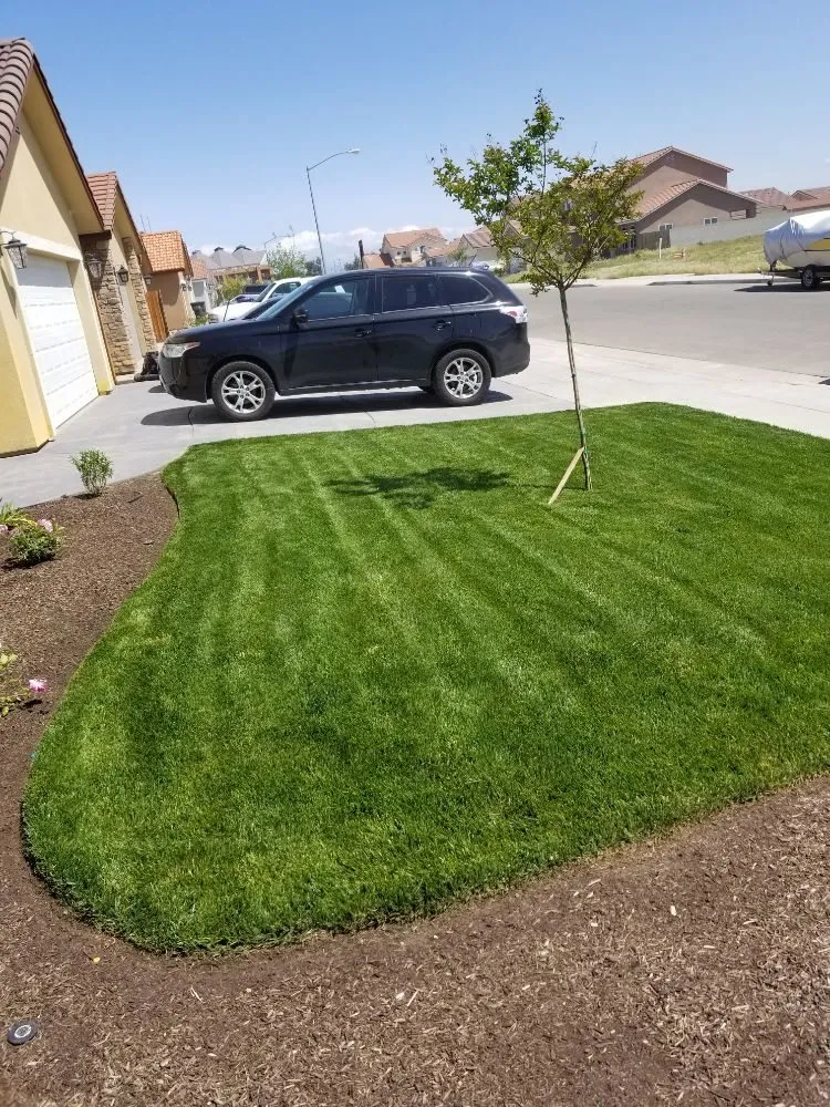 Expert lawn mowing service in Fresno, CA by Lopez Lawn Service