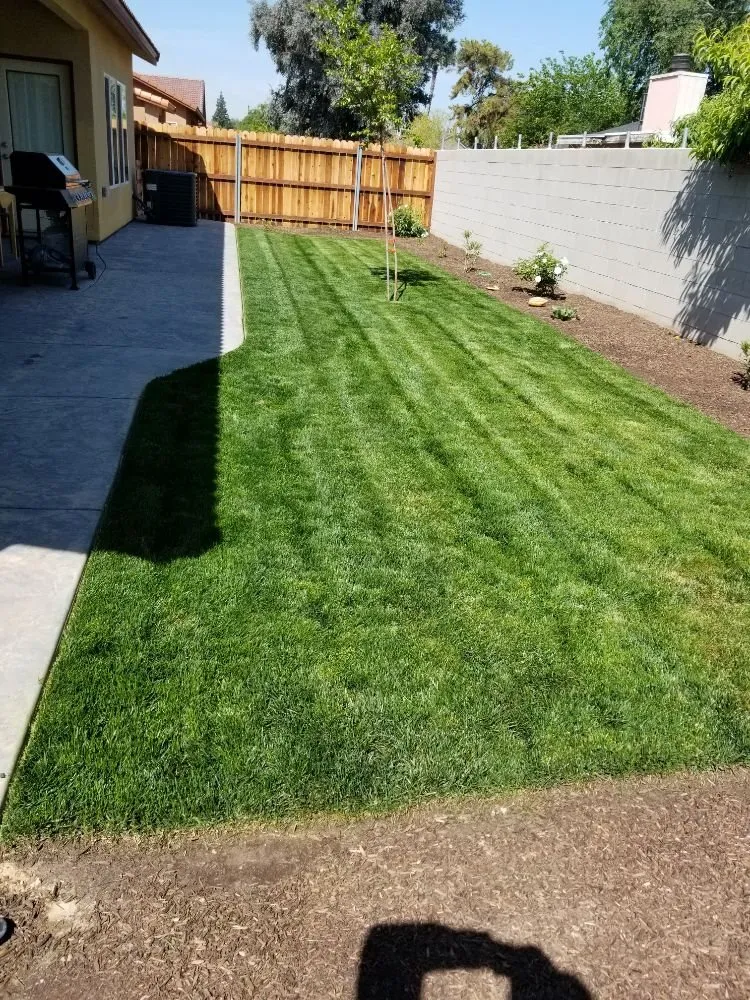 Local lawn care service in Fresno, CA by Lopez Lawn Service