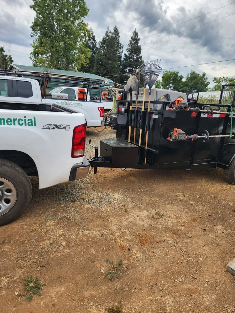 Reliable yard maintenance for year-round maintenance across Madera, CA - Lopez Lawn Service