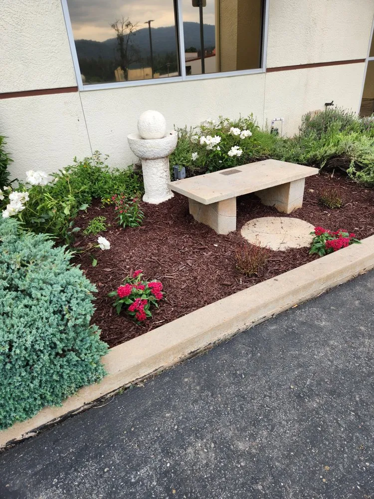 Local yard cleanup service for homes in Madera, CA by Lopez Lawn Service