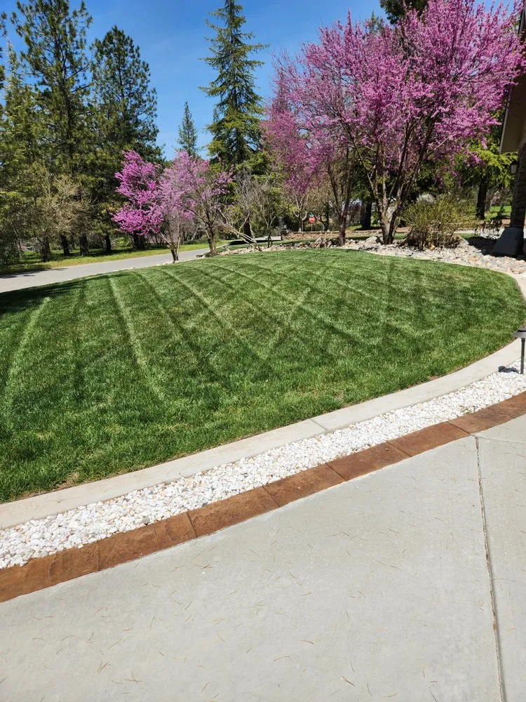 Expert landscape design experts serving Madera, CA - Lopez Lawn Service