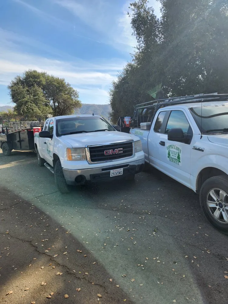 Expert landscape installation experts serving Madera, CA - Lopez Lawn Service