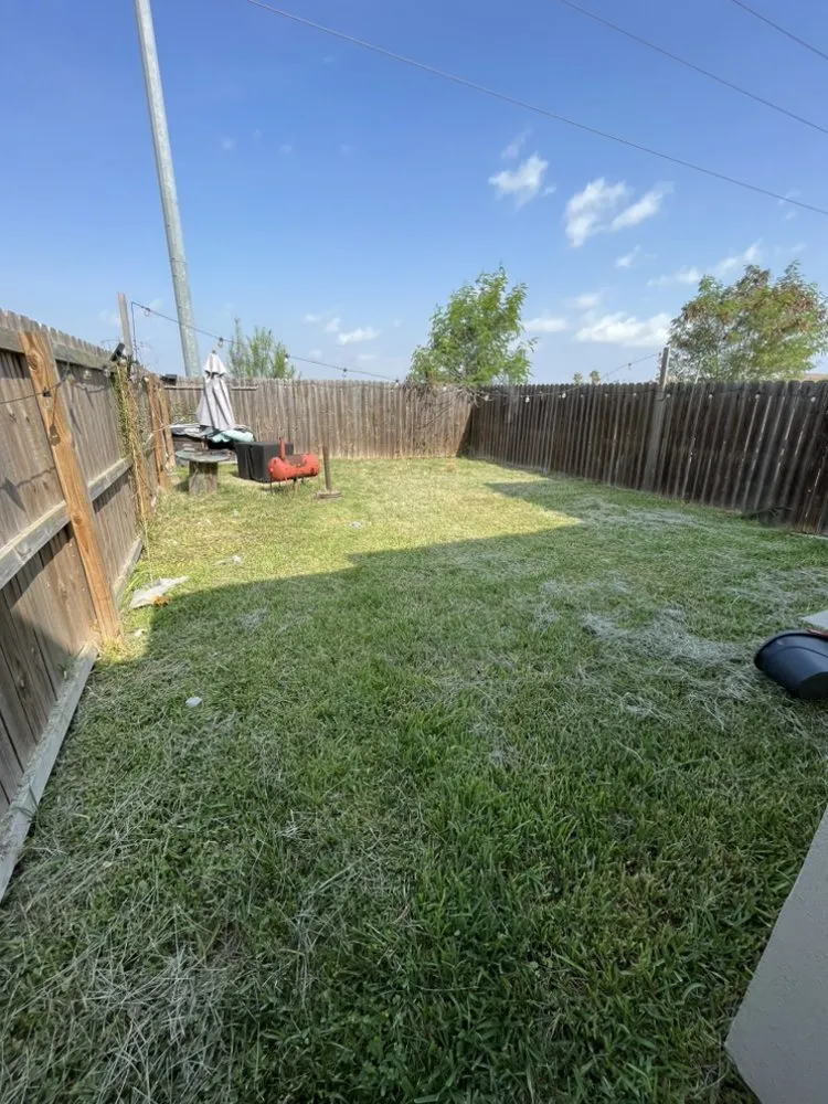 Top-rated yard maintenance in San Juan, TX by Lopez Lawn Service