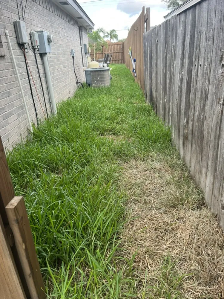 Expert landscaping services with custom design across San Juan, TX - Lopez Lawn Service