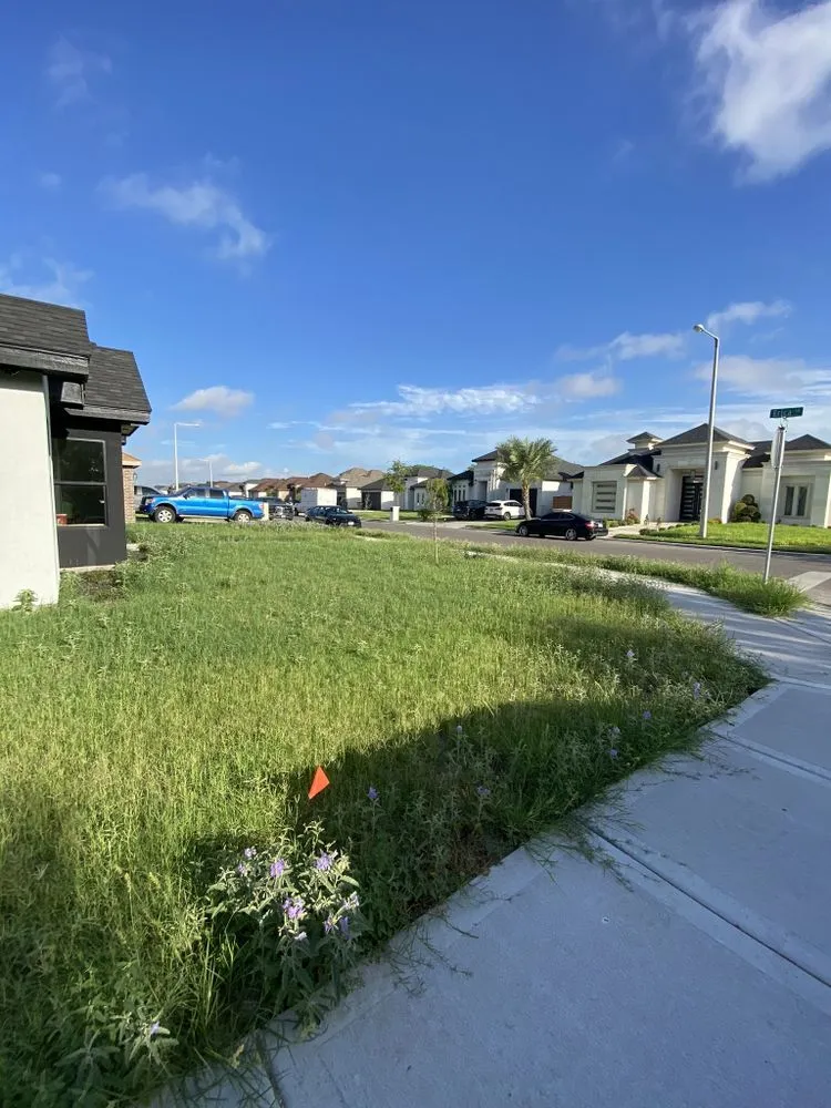 Expert residential landscaping experts serving San Juan, TX - Lopez Lawn Service