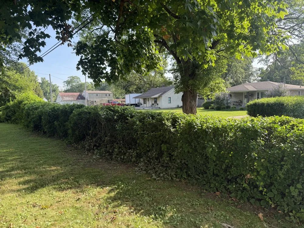 Reliable outdoor landscaping in Louisville, KY by Lopez Lawncare